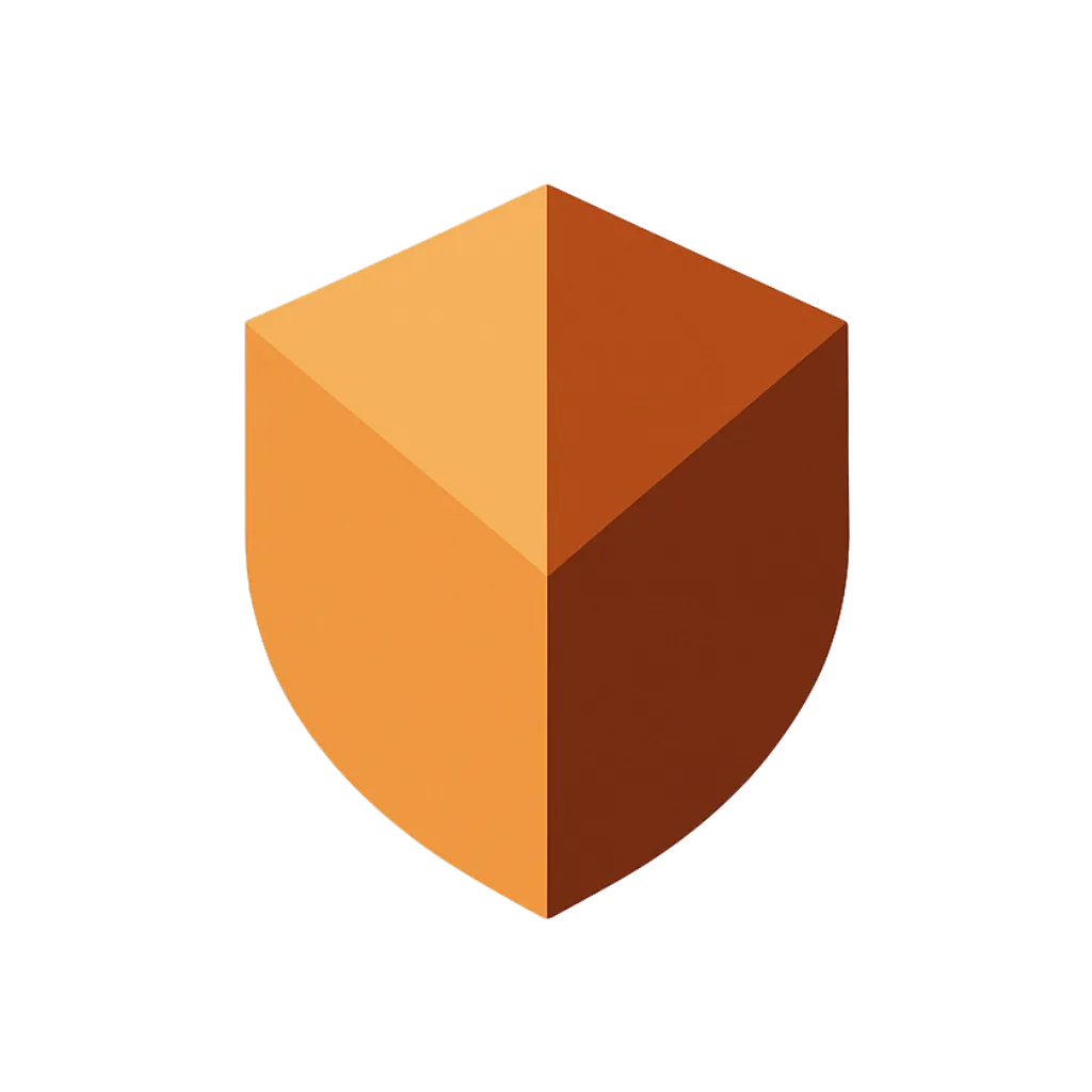 Privacy shield illustration